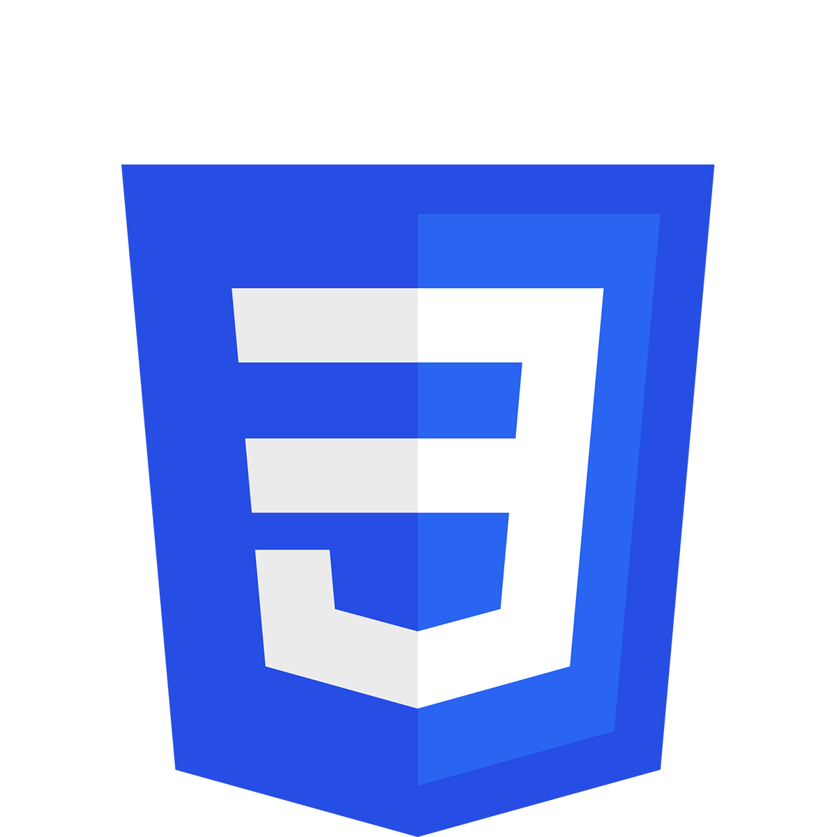 CSS logo